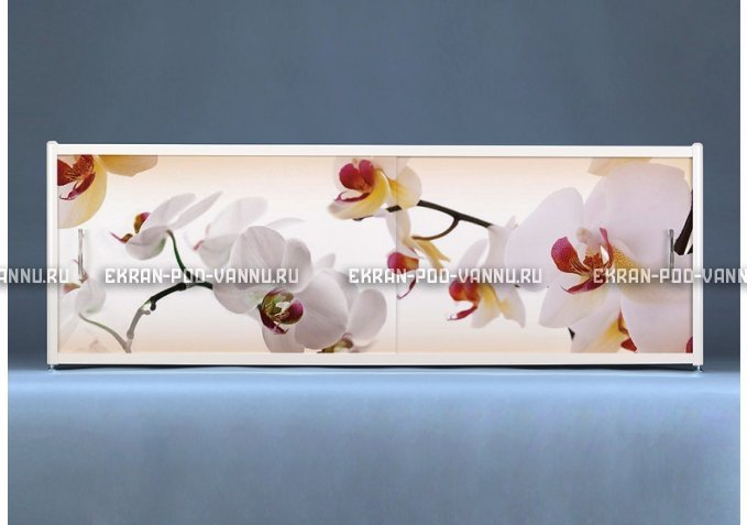 Раздвижной ФОТО экран - Orchid – купить по цене 8500 руб. в интернет-магазине в городе Краснодар картинка 1