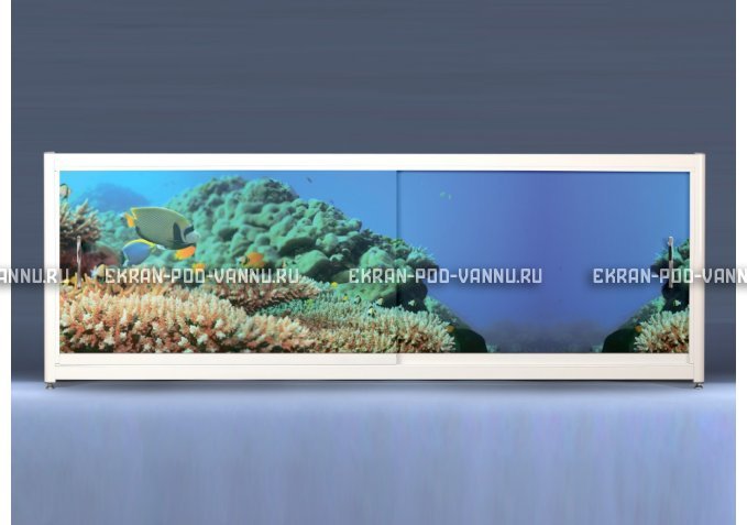 Экран на роликах EUROPLEX Коралловые рифы – купить по цене 12400 руб. в интернет-магазине в городе Краснодар картинка 1
