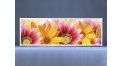 Раздвижной ФОТО экран - Flowers – купить по цене 8500 руб. в интернет-магазине в городе Краснодар картинка 8