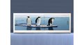 Экран на роликах EUROPLEX Пингвины – купить по цене 12400 руб. в интернет-магазине в городе Краснодар картинка 11