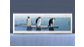 Экран на роликах EUROPLEX Пингвины – купить по цене 12400 руб. в интернет-магазине в городе Краснодар картинка 4