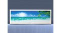 Экран на роликах EUROPLEX Пляж – купить по цене 12400 руб. в интернет-магазине в городе Краснодар картинка 11