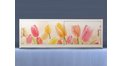 Экран на роликах EUROPLEX Тюльпаны – купить по цене 12400 руб. в интернет-магазине в городе Краснодар картинка 11