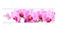 Экран МетаКам Ультралегкий 150 и 170 Орхидея – купить по цене 1590 руб. в интернет-магазине в городе Краснодар картинка 4